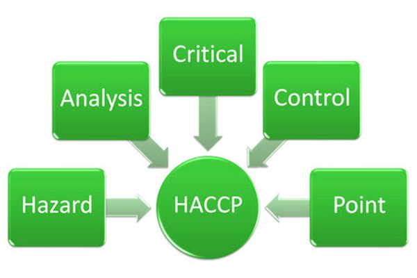 Czym jest HACCP? Praca w systemie HACCP to gwarancja produkcji bezpiecznej żywności i przyjaznych stosunków z inspekcją sanitarną.